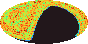 galactic footprint (+footg5.gif)