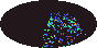 galactic footprint (+footg5.gif)