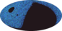 galactic footprint (+footg5.gif)
