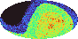 galactic footprint (+footg5.gif)