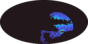 galactic footprint (+footg5.gif)