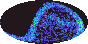 galactic footprint (+footg5.gif)