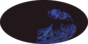 galactic footprint (+footg5.gif)