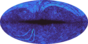 galactic footprint (+footg5.gif)